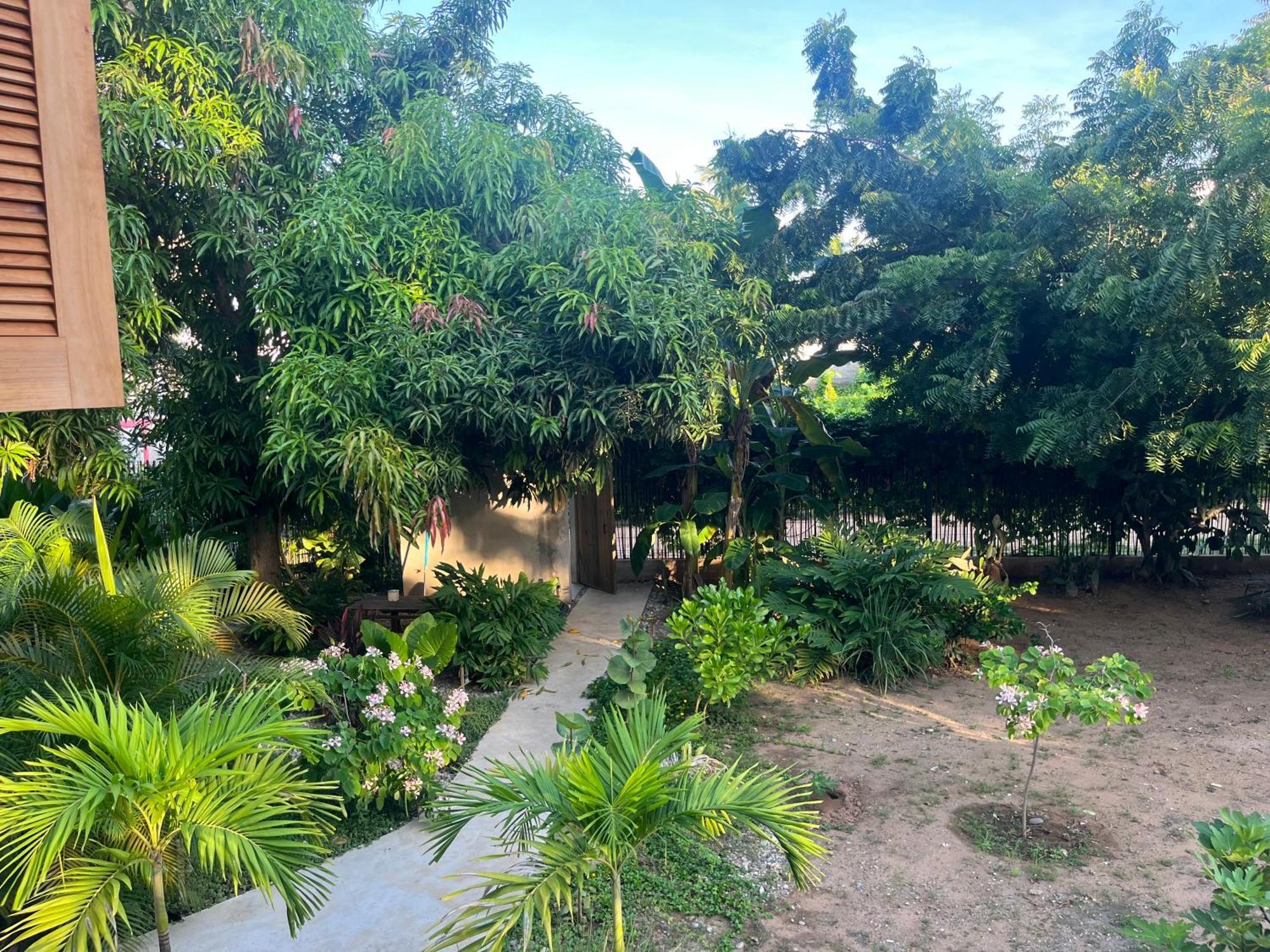 Agua De Coco Διαμέρισμα Puerto Escondido  Εξωτερικό φωτογραφία