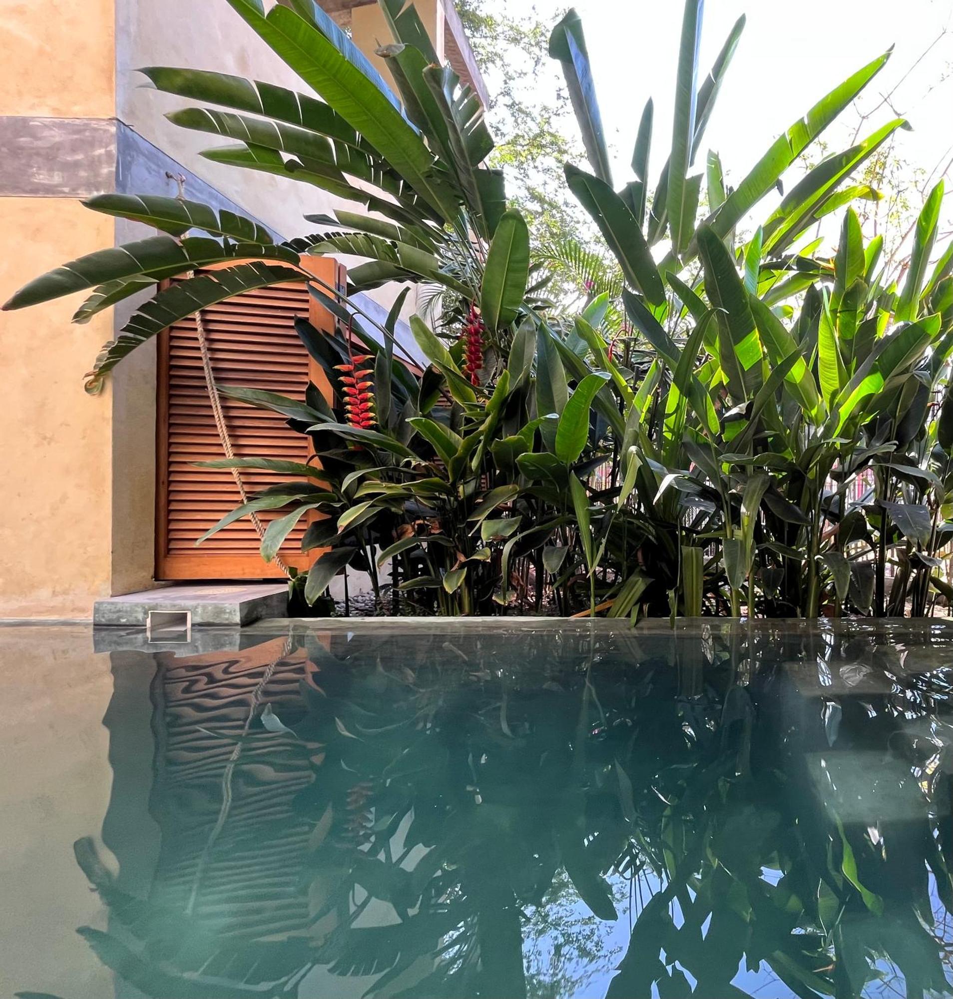 Agua De Coco Διαμέρισμα Puerto Escondido  Εξωτερικό φωτογραφία